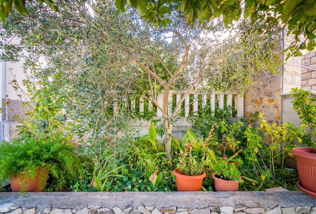 Cheap Apartment Tanja Trogir Ngoại thất bức ảnh